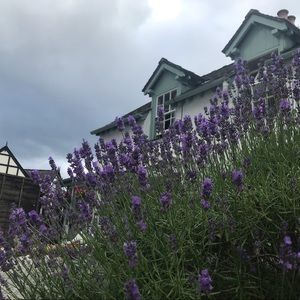 Meet your Posher, Karina